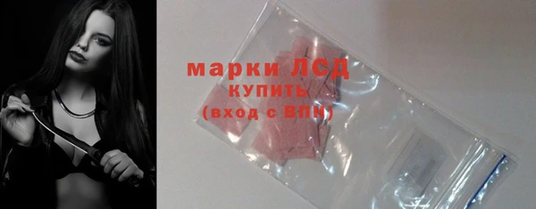 стафф Тавда