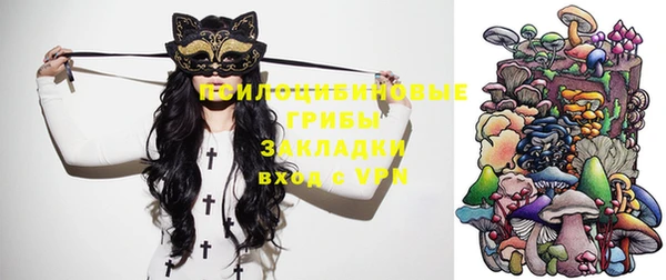 бошки Инсар