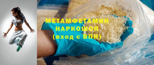 амф Тайга