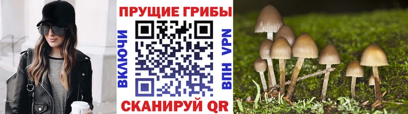 Галлюциногенные грибы Magic Shrooms  Гусиноозёрск 